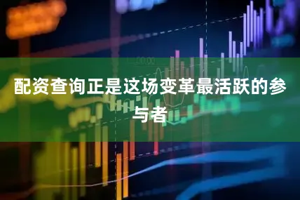 配资查询正是这场变革最活跃的参与者